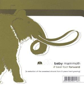 Baby Mammoth - The Ghost Of Henry